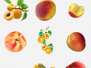 新鮮水蜜桃 美味與設計的完美結合